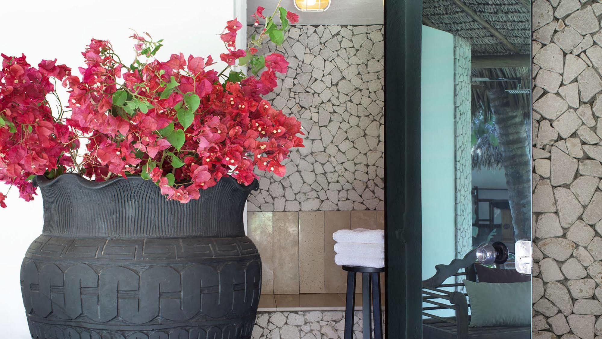 Essenza Hotel Jijoca de Jericoacoara Exterior foto